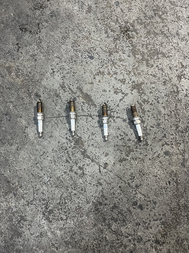 ファイル 3727-1.jpg