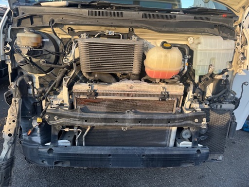 ファイル 4019-1.jpeg