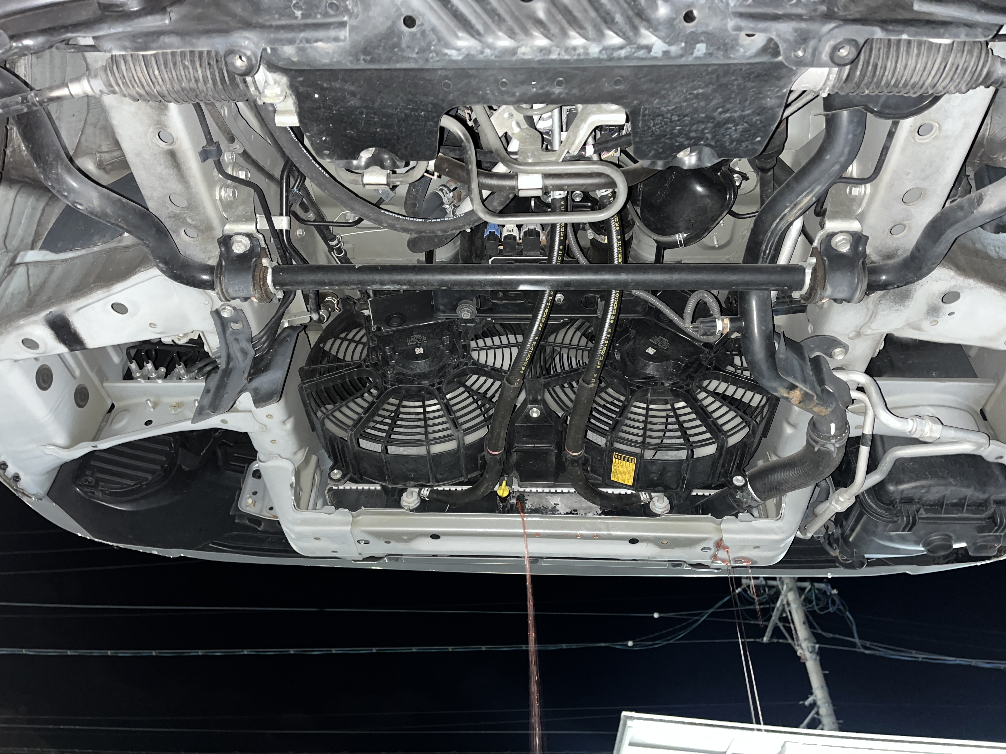 ファイル 4020-1.jpg