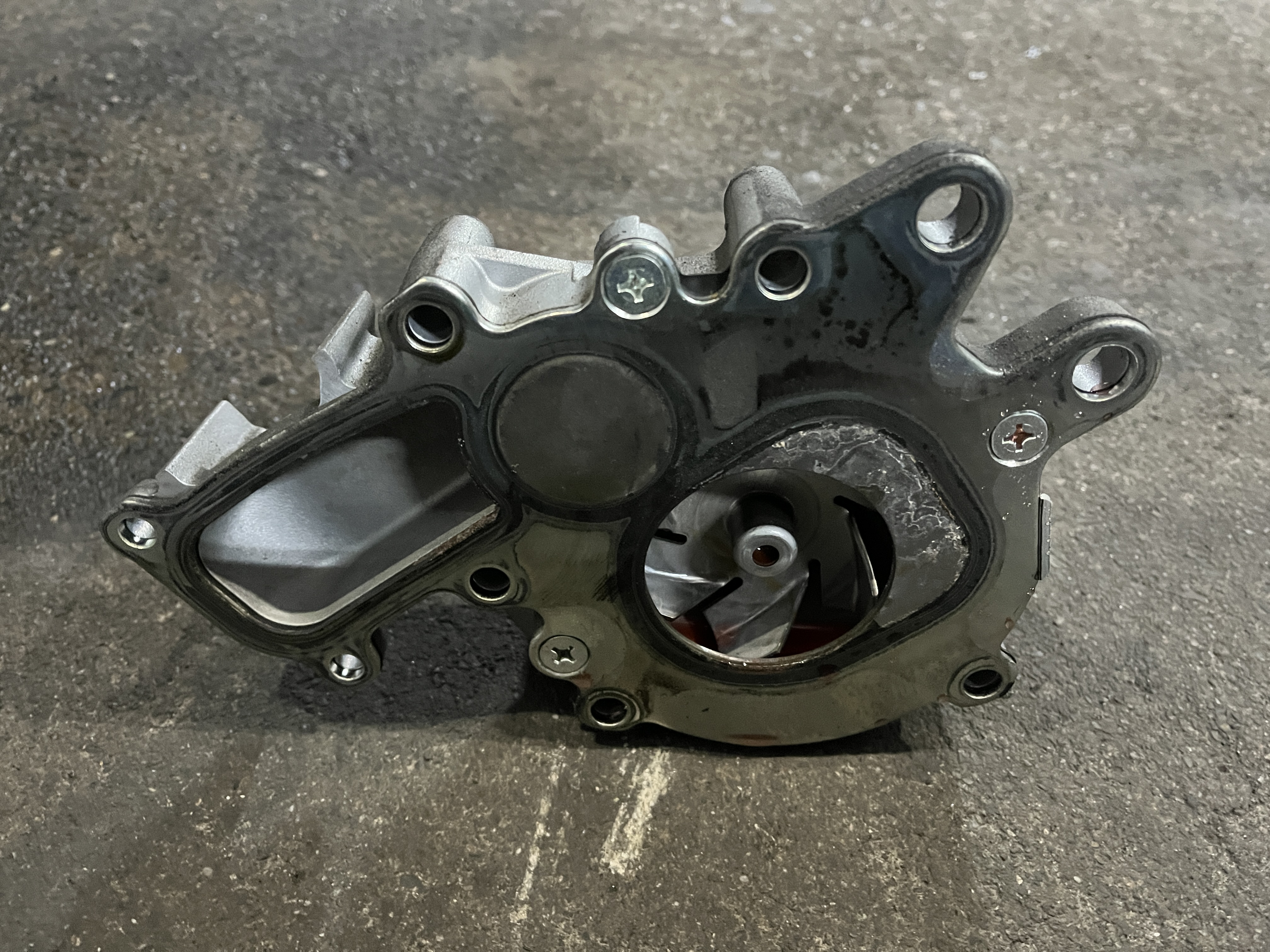 ファイル 4020-3.jpg