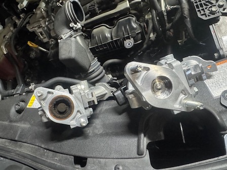 ファイル 4036-1.jpeg