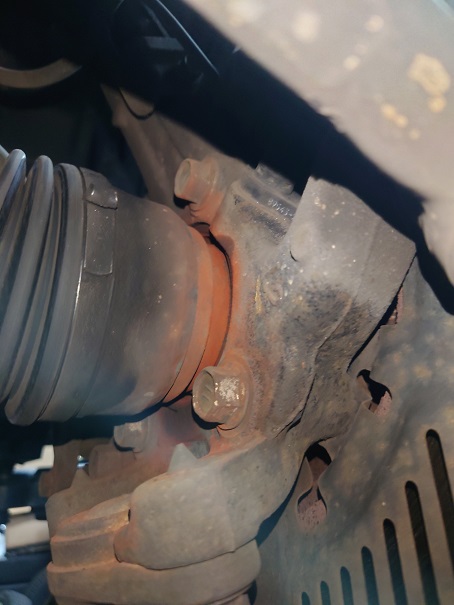 ファイル 3771-1.jpg