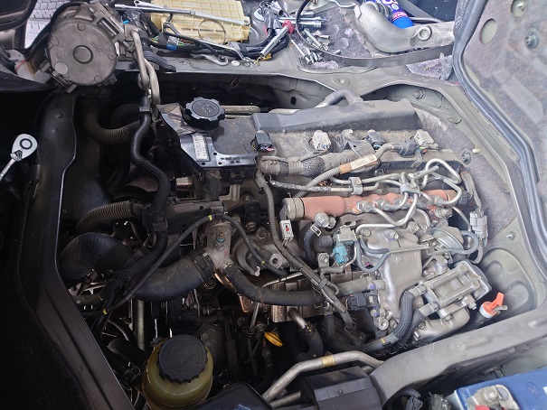 ファイル 3783-1.jpg