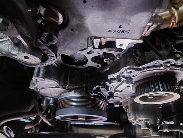 ファイル 3783-2.jpg