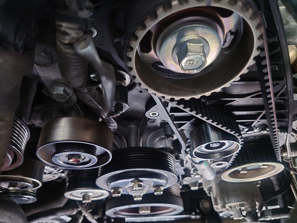 ファイル 3783-3.jpg