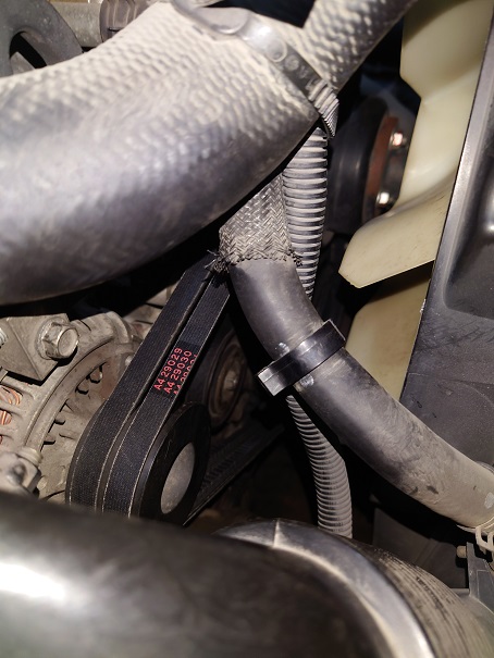 ファイル 3821-2.jpg