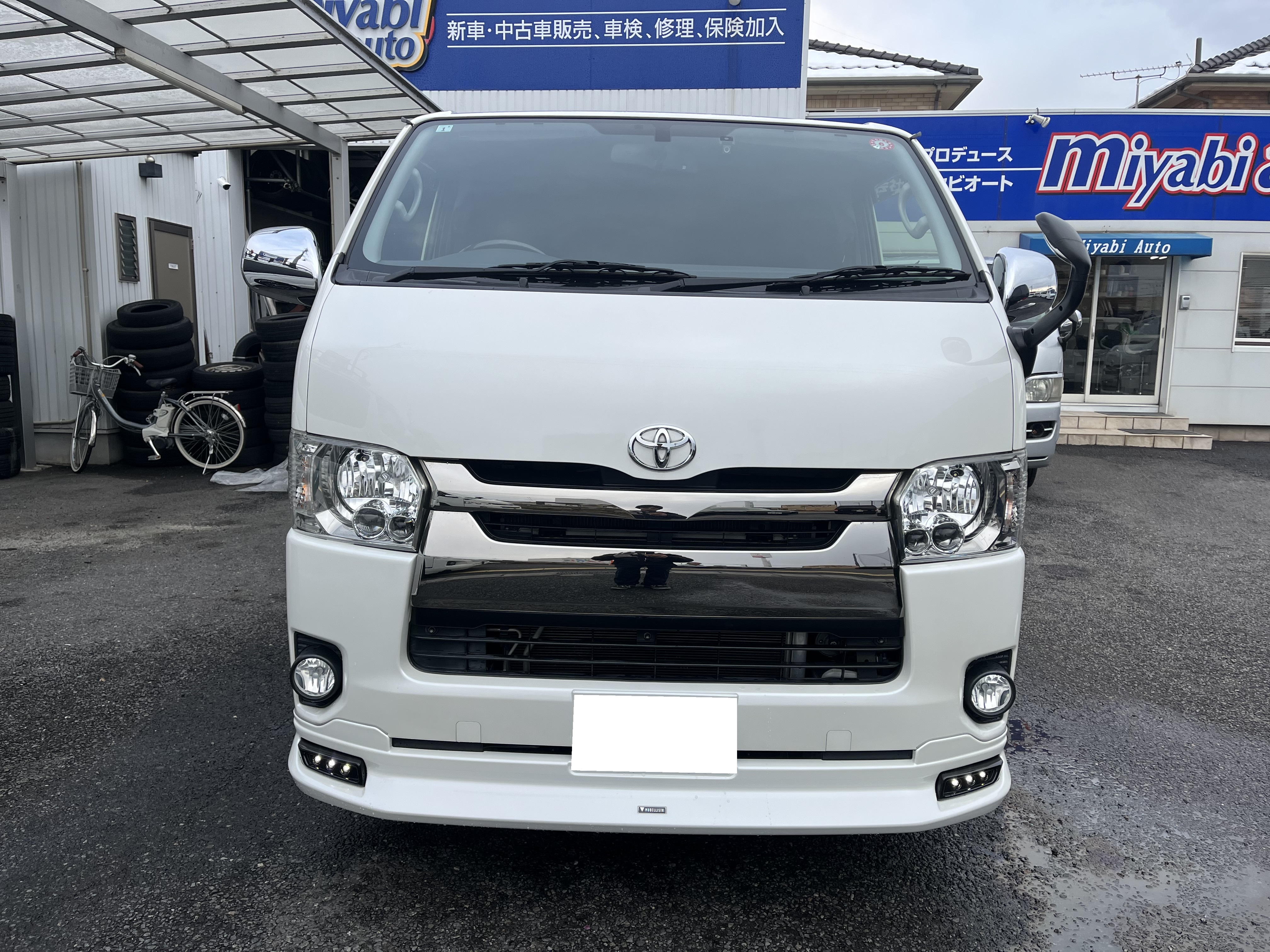 ファイル 3910-1.jpg