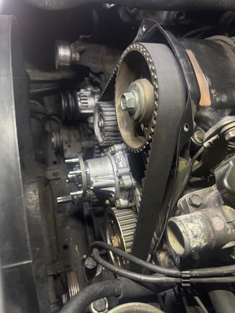 ファイル 3929-1.jpg